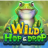 slotfrog